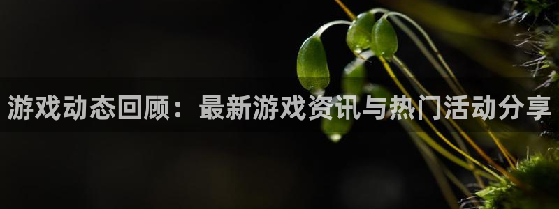 星欧娱乐登陆地址:游戏动态回顾:最新游戏资讯与热门活动分享