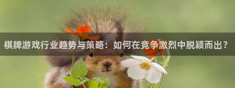 星欧娱乐注册网站:棋牌游戏行业趋势与策略:如何在竞争激烈中脱