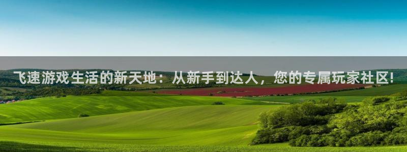 星欧娱乐登陆测速：飞速游戏生活的新天地：从新手到达人，您的专
