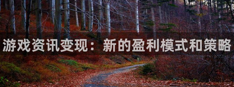 星欧娱乐测速：游戏资讯变现：新的盈利模式和策略