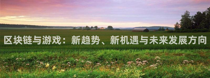 星欧娱乐注册地址：区块链与游戏：新趋势、新机遇与未来发展方向