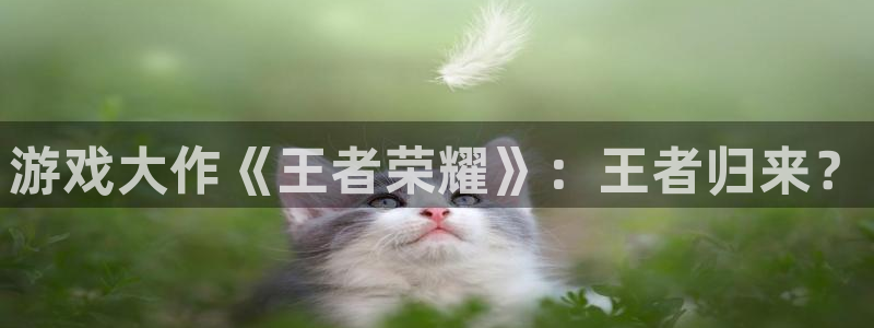 星欧娱乐平台登录线路：游戏大作《王者荣耀》：王者归来？