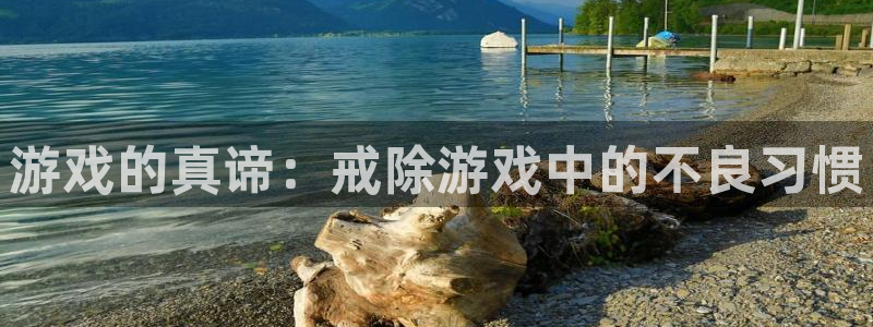 星欧娱乐4招商：游戏的真谛：戒除游戏中的不良习惯